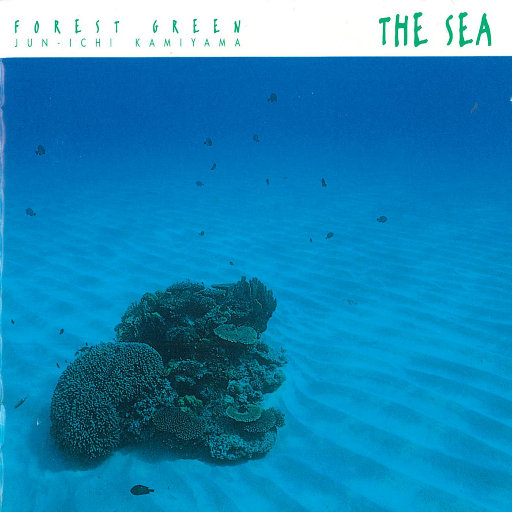 丰满少妇人妻无码
